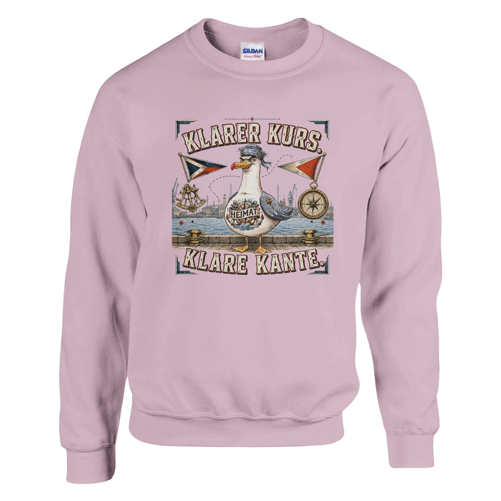 Pullover in Hellrosa mit Motiv „Klarer Kurs. Klare Kante. Möwe“